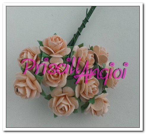 10 rosas abiertas 1.5 cm color salmn claro - Haga un click en la imagen para cerrar