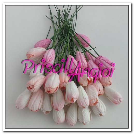 Tulipanes tonos rosas de 10 mm ( 5 uds ) - Haga un click en la imagen para cerrar