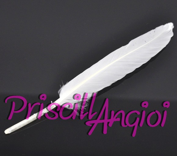 Pluma recta pato color blanco 10-15 cm - Haga un click en la imagen para cerrar