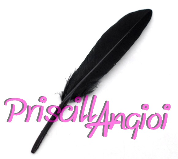 Pluma recta pato color negro 10-15 cm - Haga un click en la imagen para cerrar