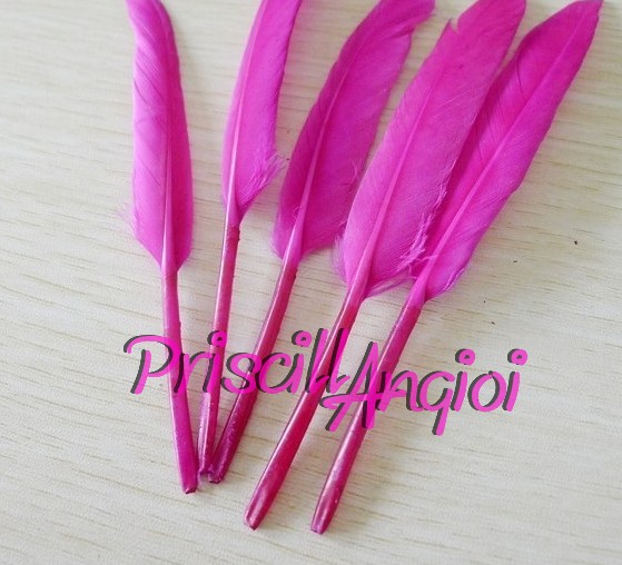 Pluma recta OCA color FUCSIA 10-15 cm - Haga un click en la imagen para cerrar